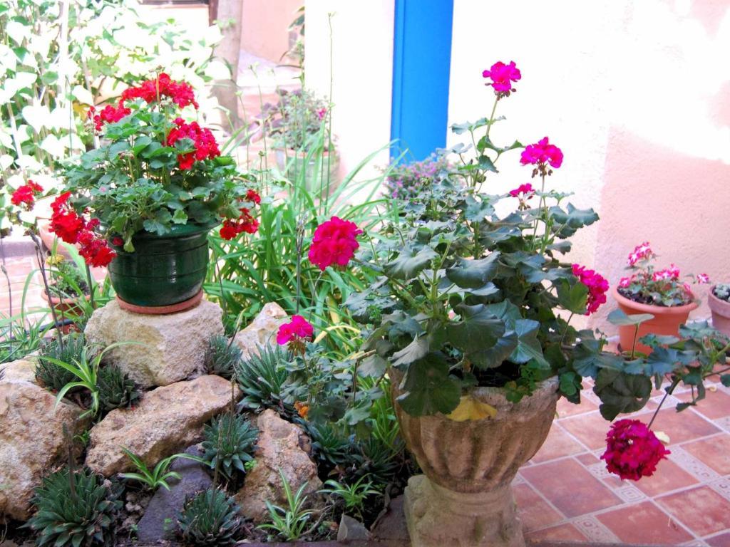 Hostal Fabrellas Caldes de Malavella Buitenkant foto