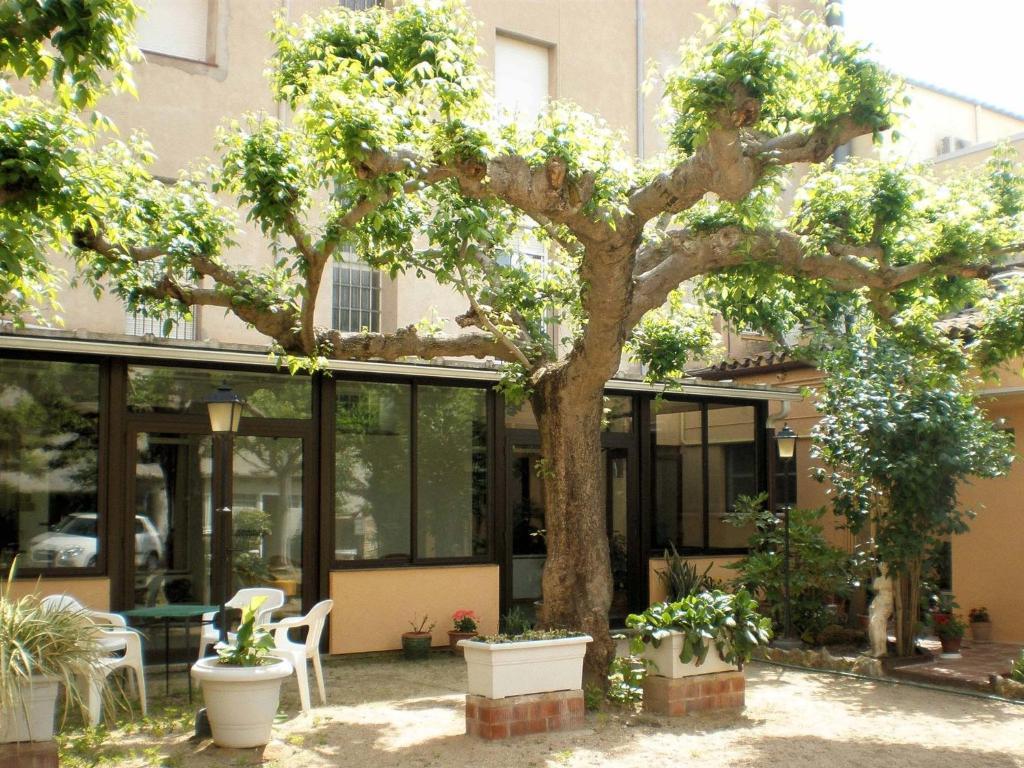 Hostal Fabrellas Caldes de Malavella Buitenkant foto